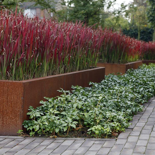 Stödmur smal topp - Corten - 1500.00 x 100.00 x 200.00