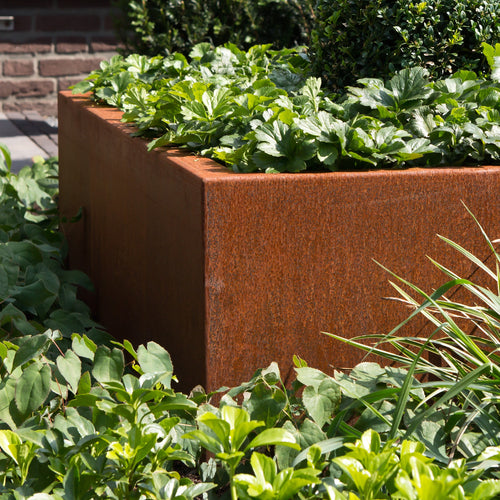 Carrez - Corten - 800.00 x 800.00 x 600.00