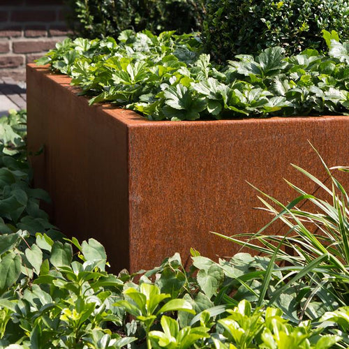 Carrez - Corten - 2000.00 x 2000.00 x 800.00