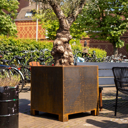 Carrez - Corten - 800.00 x 800.00 x 600.00