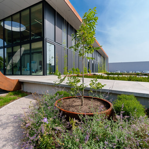 Circum - Corten - 0.00 x 1000.00 x 600.00