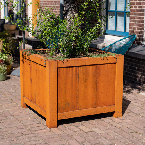 YORK - Corten - 1000.00 x 1000.00 x 800.00
