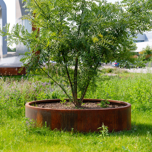 Circum - Corten - 0.00 x 1200.00 x 800.00