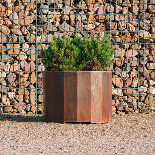 Boxer - Corten - 0.00 x 1000.00 x 800.00