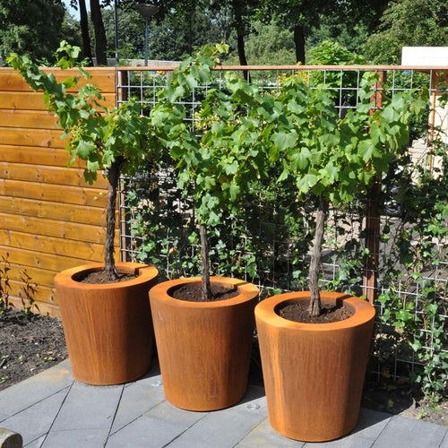 Conic - Corten - 0.00 x 600.00 x 600.00