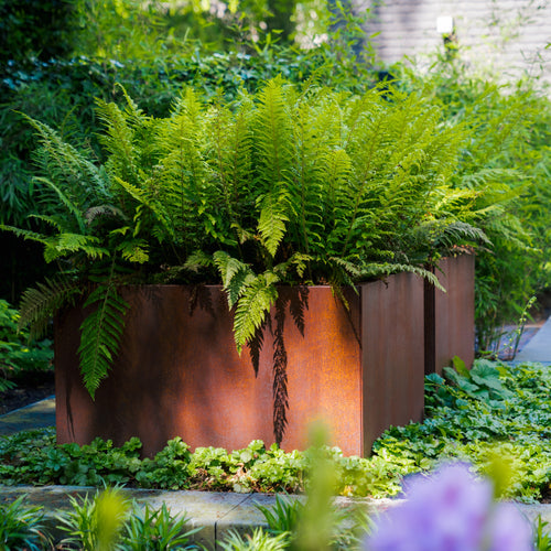 Carrez - Corten - 700.00 x 700.00 x 700.00