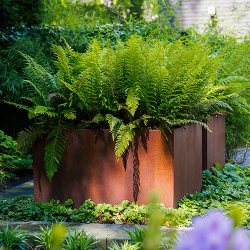 Carrez - Corten - 2000.00 x 1000.00 x 800.00