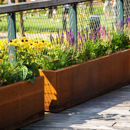 Carrez - Corten - 800.00 x 800.00 x 600.00