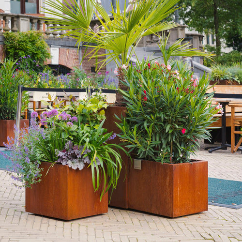 Carrez - Corten - 1000.00 x 1000.00 x 800.00