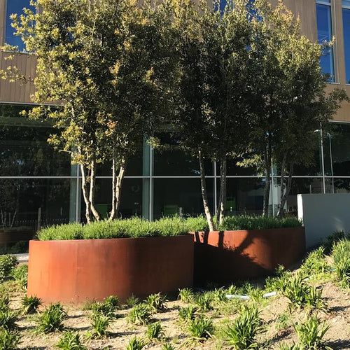 Circum - Corten - 0.00 x 1200.00 x 400.00