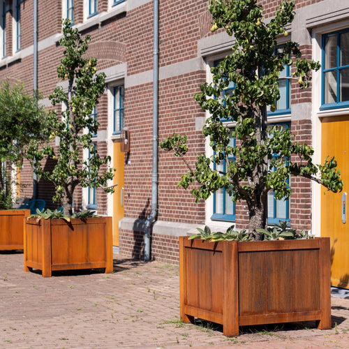 YORK - Corten - 800.00 x 800.00 x 800.00