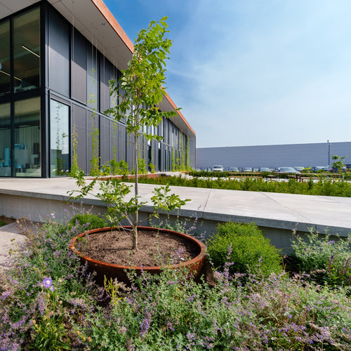 Circum - Corten - 0.00 x 800.00 x 600.00