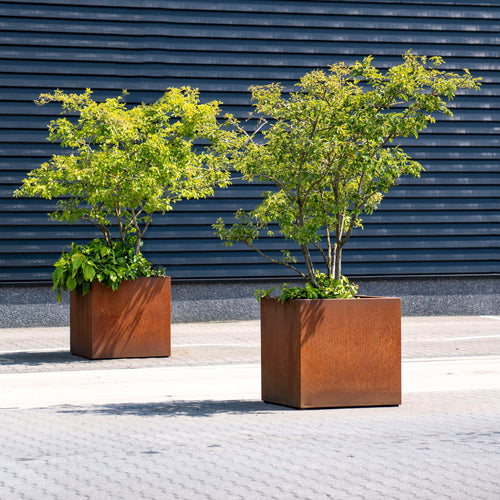 Carrez - Corten - 1200.00 x 500.00 x 500.00