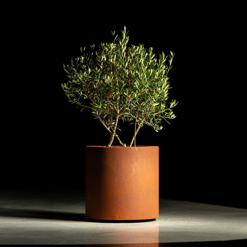 Circum - Corten - 0.00 x 1000.00 x 800.00