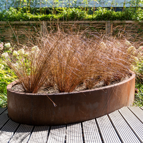 Ellipse - Corten - 2800.00 x 1600.00 x 600.00