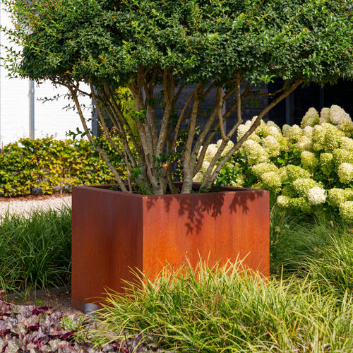 Carrez - Corten - 2000.00 x 1000.00 x 400.00