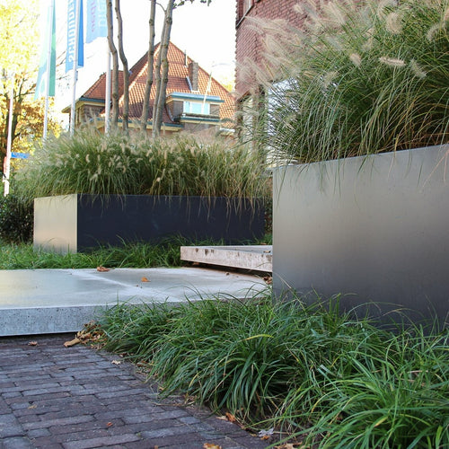 Carrez - Aluminium - 3000.00 x 1000.00 x 600.00