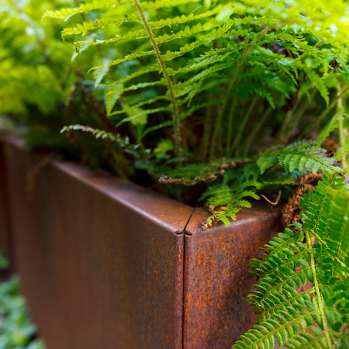 Carrez - Corten - 2000.00 x 400.00 x 800.00