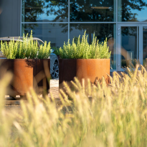 Circum - Corten - 0.00 x 2000.00 x 800.00