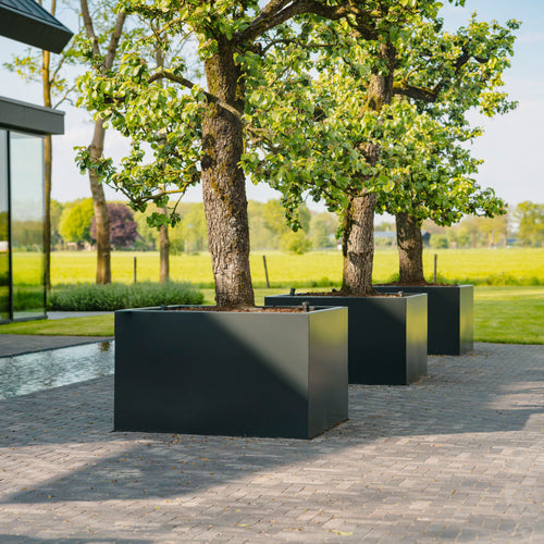 Carrez - Aluminium - 3000.00 x 400.00 x 800.00