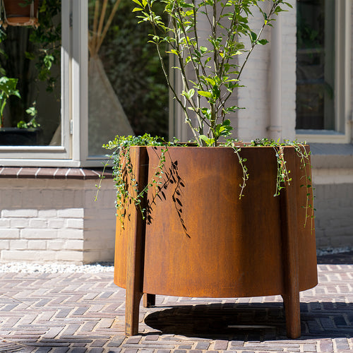 Botan - Corten - 0.00 x 600.00 x 1000.00