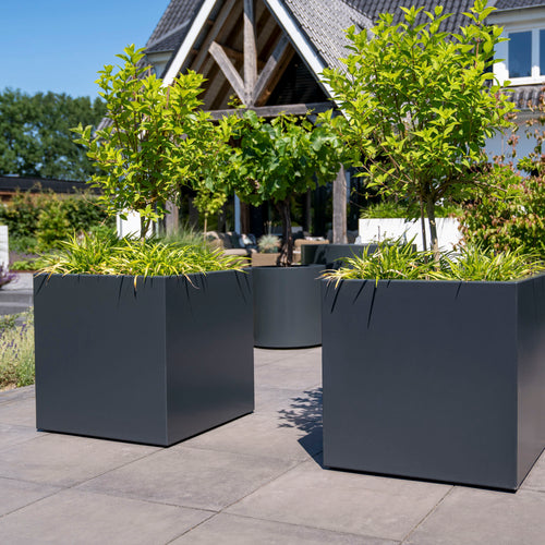Carrez - Aluminium - 2000.00 x 500.00 x 500.00