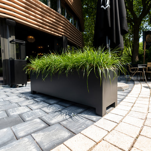 Carrez - Aluminium - 2000.00 x 400.00 x 800.00