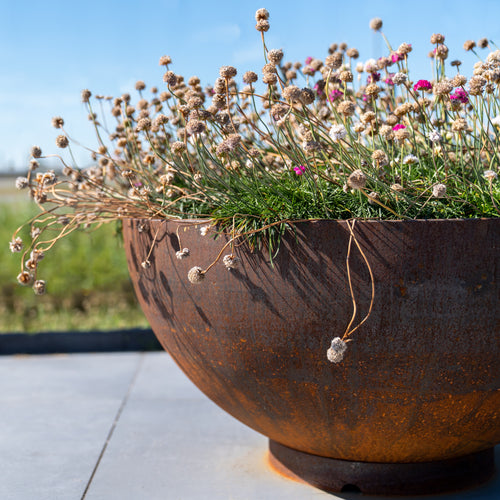 Bocca - Corten - 0.00 x 1000.00 x 510.00