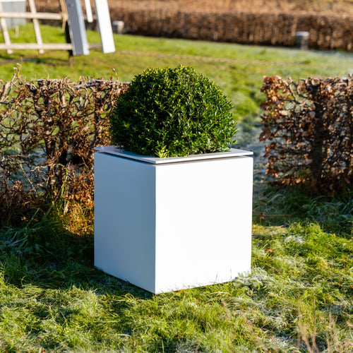 Domus - Aluminium - 530.00 x 530.00 x 600.00